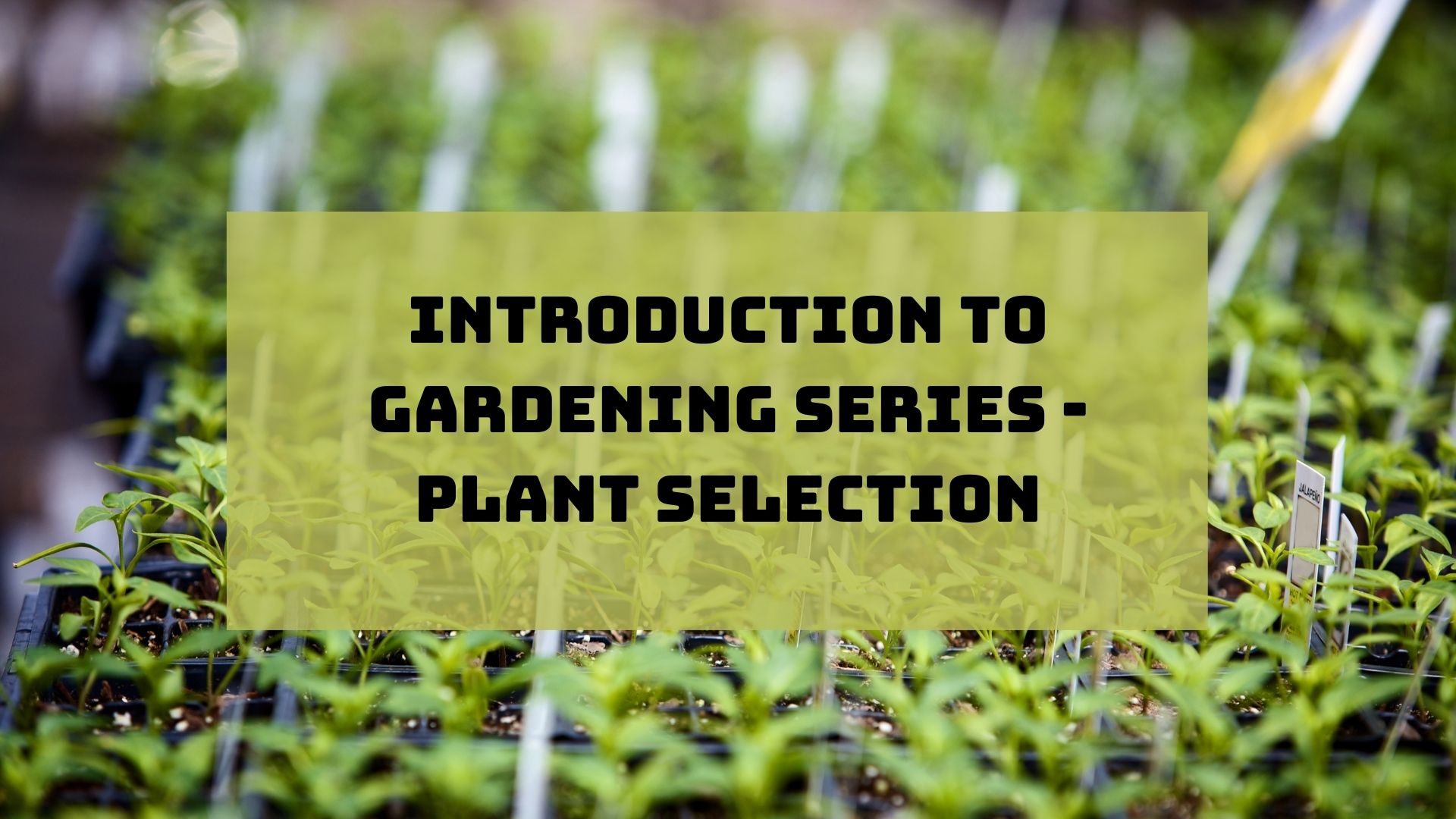 Introduction to Gardening Series Serving Edwards, Lawrence, Richland